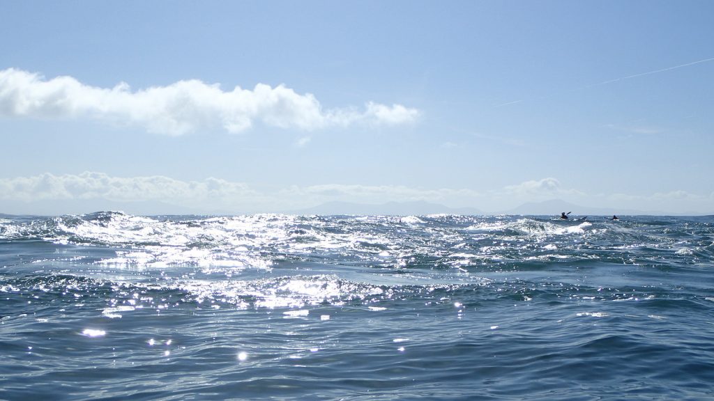 Kayakers playing in Rhoscolyn