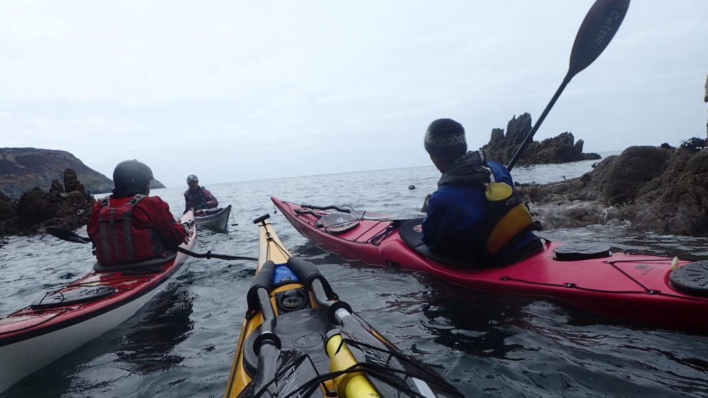Left to right Dave Helen Robbie the Seal and James