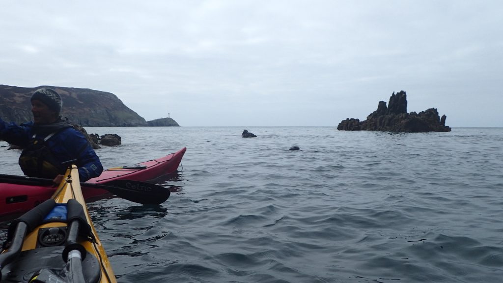 James and Robbie the Seal