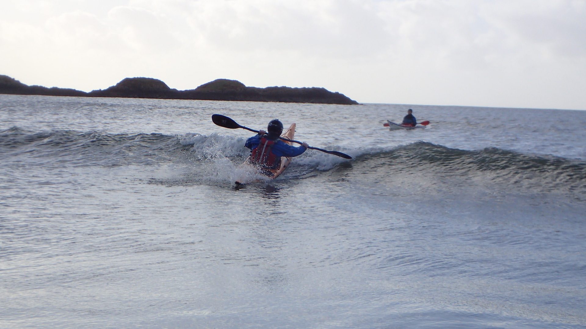 Curly back surfing (aka "taking it from behind") - Some say he enjoys it!